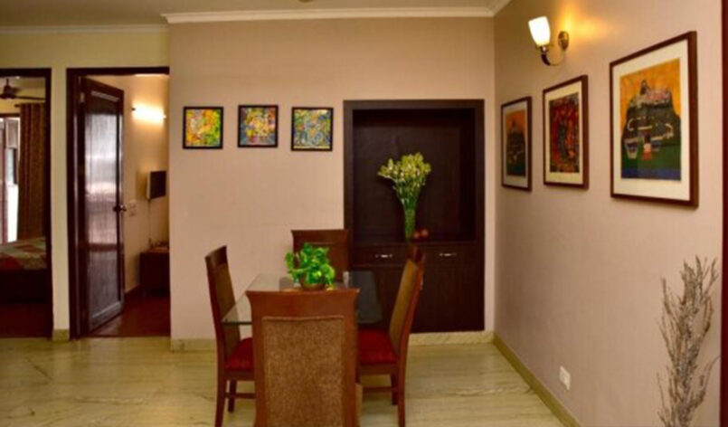 profile side photo of focused assistant girl work remote laptop